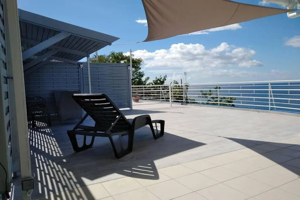 Grande Villa Surplombant La Plage Avec Piscine デエエ グアドループ